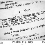 Psalm-119-105